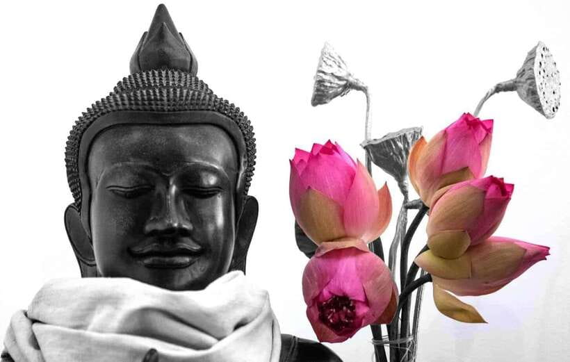 Siem Reap Lotus Silk Farm Discovery tour & Lake experience - Lotus Silk Farm: what you learn before you see the water