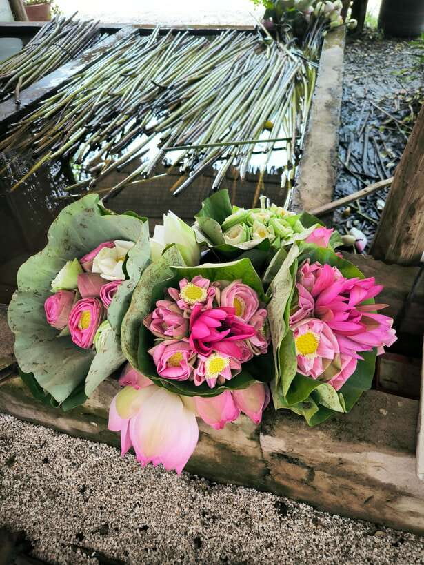 Siem Reap Lotus Silk Farm Discovery tour & Lake experience - Tuk tuk to the water: the moment the trip turns romantic