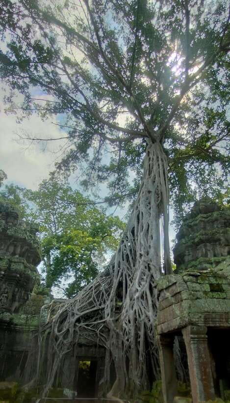 Siem Reap Private Tour: Angkor Wat Sunrise And Banteay Srei - Private pickup in an AC SUV or minivan, door-to-door in Siem Reap