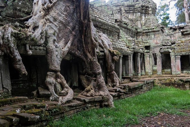 Siem Reap’s signature temples discovered - How the half-day timing fits real travel life