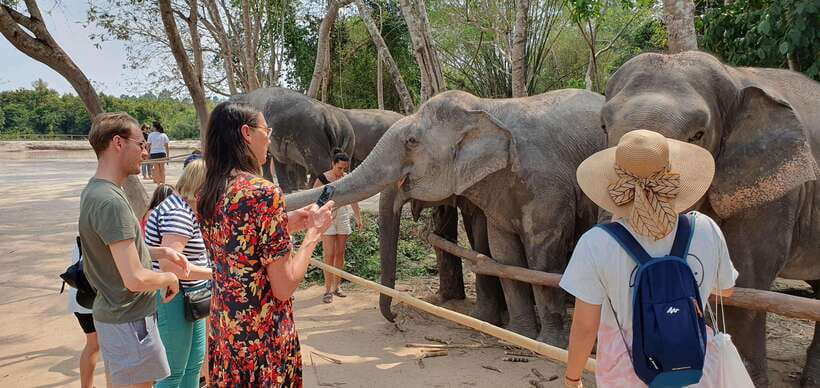 Siem Reap: Small Group Tour of Kulen Elephant Forest - Should you book the Kulen Elephant Forest small-group tour?