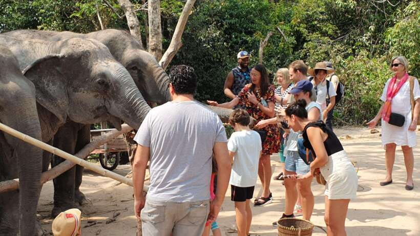 Siem Reap: Small Group Tour of Kulen Elephant Forest - From Krong Siem Reap pickup to the road to Kulen