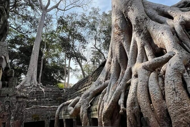 Siem Reap Temple Tuktuk Tour: Explore Angkor Wat and beyond. - Transportation-First, Not a Full Guide Tour: How to Decide What You Need