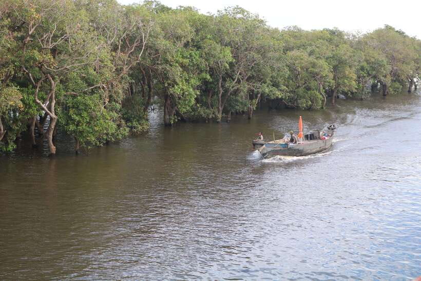 Siem Reap: Tonle Sap Lake - Fishing Village & Flooded Forest - Kampong Phluk by boat cruise, the stilt houses and working life