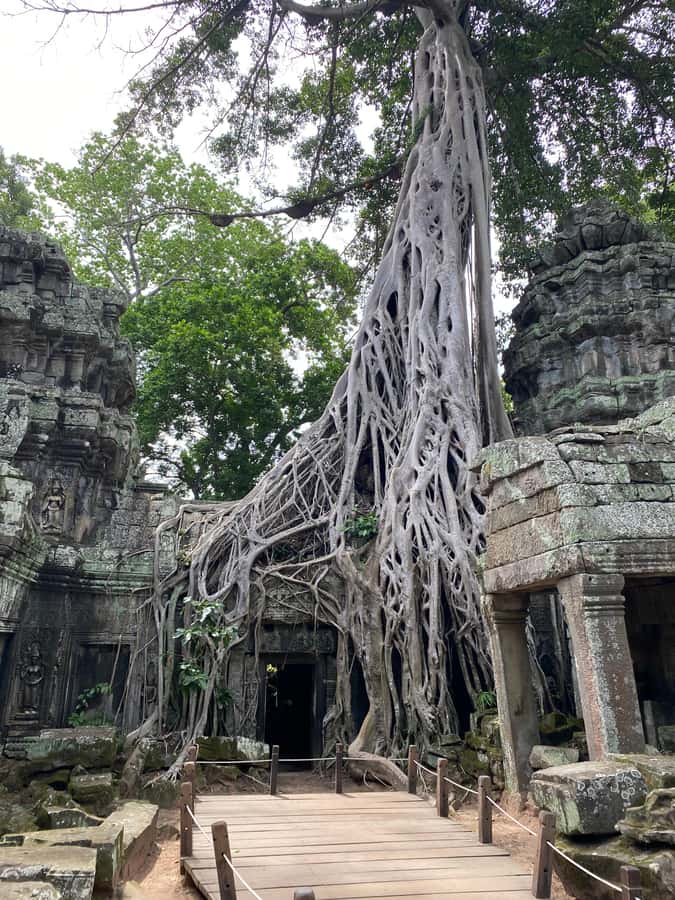 Siem Reap: Ultimate Angkor Wat Offbeat Experience by Jeep - Victory Gate and Angkor Thom: walking the edges of a city