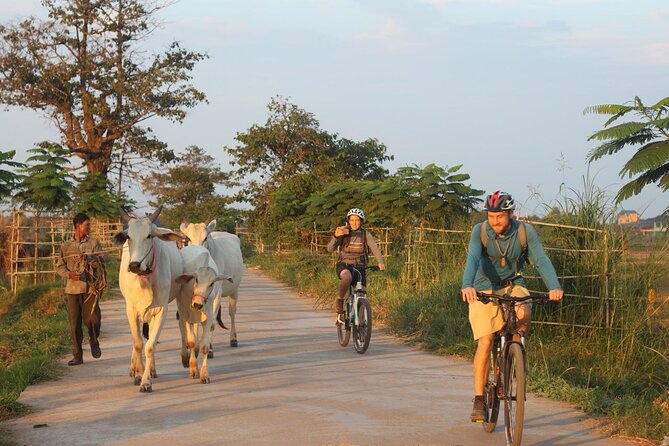 Silk Island at Twilight Cycle Encounter - Key highlights worth your time