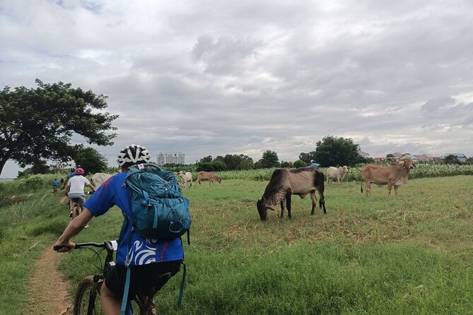 Silk Island at Twilight Cycle Encounter - 2pm pickup to Areyksat ferry dock, then the first ride out of the city