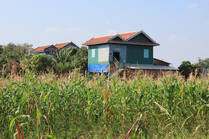 Silk Island & countryside of Phnom Penh by Tuk Tuk - Tuk tuk countryside leg: sedge mats, farms, and the calm pace