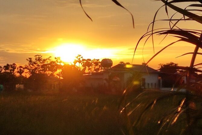 Small Group Countryside Bike Tours, Sunset & Picnic - Price and value: what $17.50 really buys you