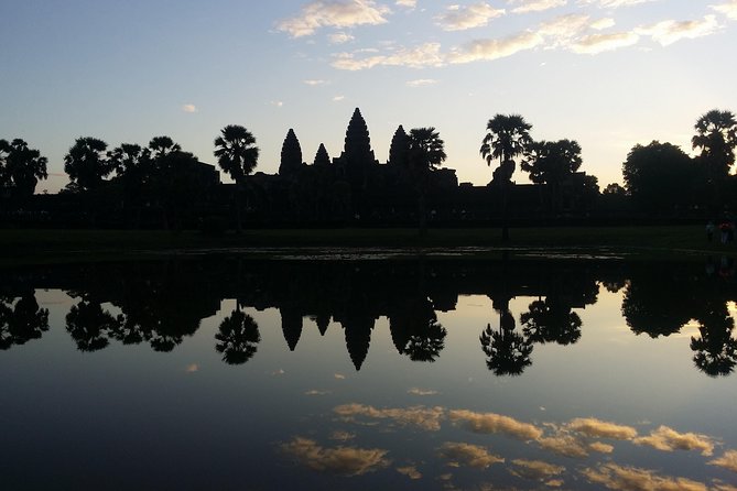 Sunrise in Angkor and Banteay Srei Private Tour - Ta Prohm and the giant root, with lunch you control