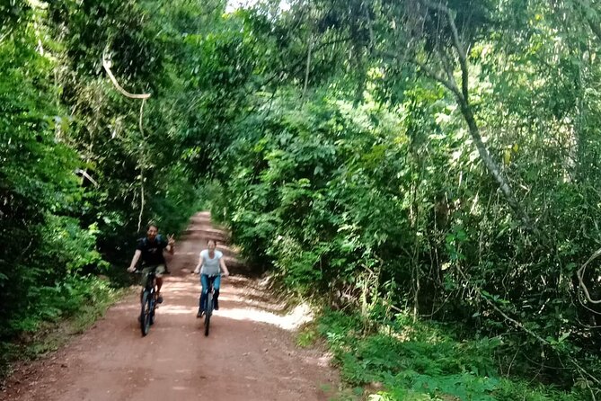 Sunset or sunrise bicycle tour around Angkor Wat and nearby temples - Sunrise or Sunset Bike Tour, Same Temples, Different Mood