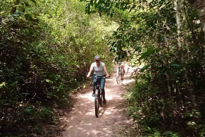 Sunset or sunrise bicycle tour around Angkor Wat and nearby temples - Is This a Good Value? Bikes vs. Tickets vs. Time