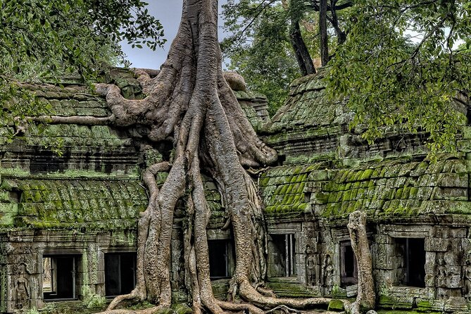 The Angkor Temples from Sunrise by Tuk Tuk - Price and What You Actually Get for About $104