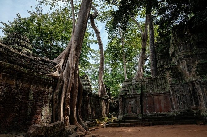 The Ultimate Angkor Wat Temple Private Day Trip - Stop 3: Ta Prohm, the jungle or tree temple feel