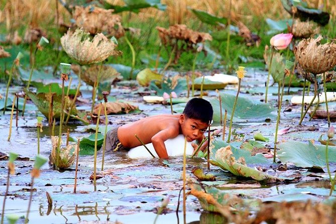 Tonle Sap Lake & Kampong Phluk Village Half-Day Tour - The Tonle Sap Setting That Makes This Tour Worth It