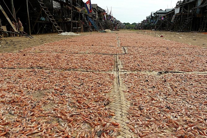Tonle Sap Lake & Kampong Phluk Village Half-Day Tour - The Boat Ride to and From the Village: Slow Enough to Notice