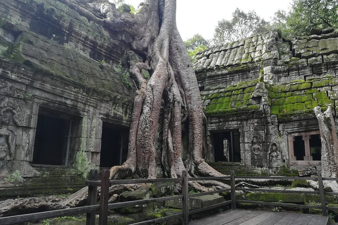 Two-Day Tour in Siem Reap - Angkor Wat Sunrise at 5am: The Temple Lesson You Actually Use