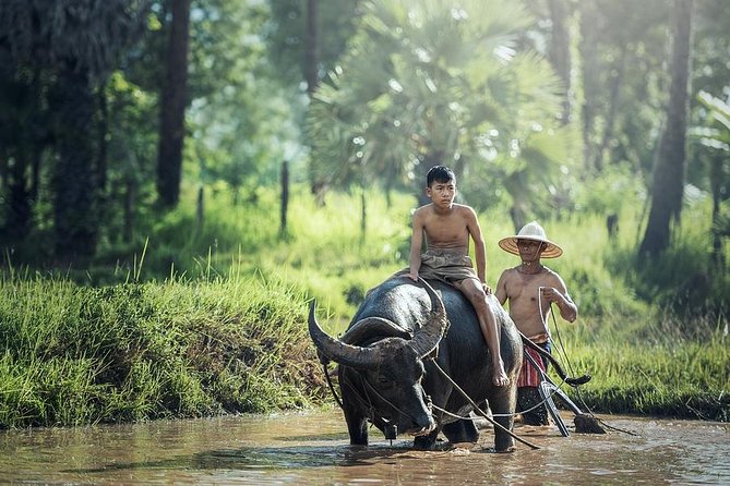 Village Life Tour from Siem Reap - Key highlights worth planning for